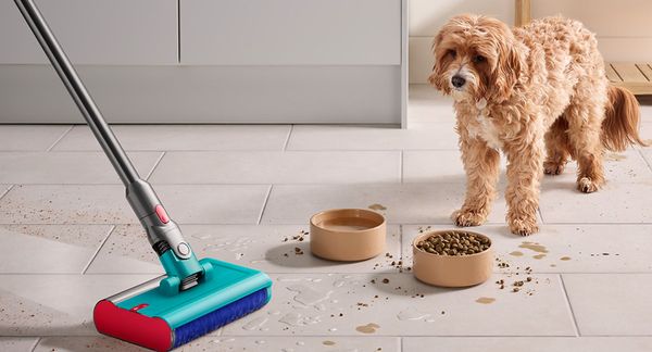 Dit wil je weten voordat je een Dyson stofzuiger koopt
