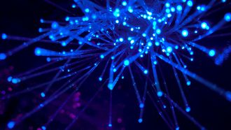 De psychologie van vier-letter domeinnamen