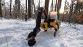 Robothond van Boston Dynamics gaat straks ook nog zelf nadenken