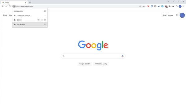 HTTPS verbinding op Google