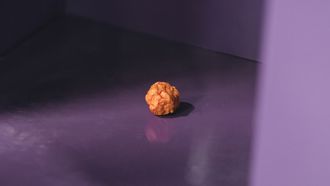 De kipnugget van Netflix is goud waard met 100% RT-score