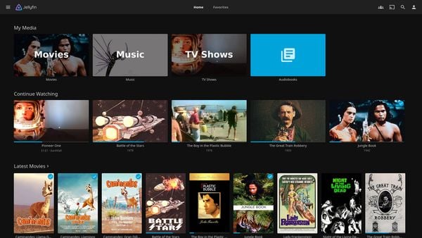 Deze onmisbare smart-tv-app bouwt je eigen Netflix