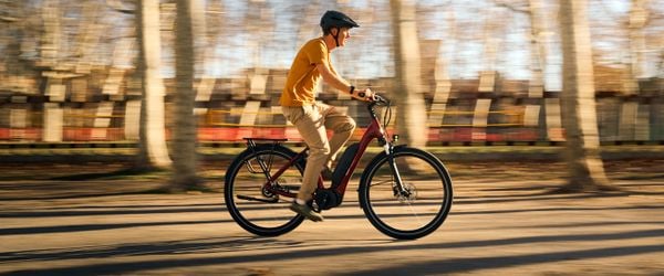 Dit zijn de beste elektrische fietsen van 2025 volgens de Belgische ANWB
