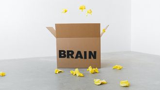 hersenen onderzoek herinnering