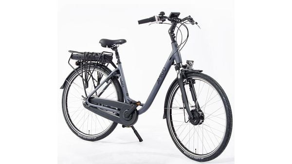 Elektrische fiets Albert Heijn
