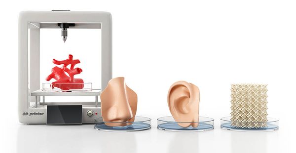 Organen 3D-print