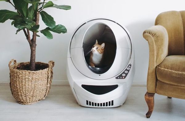Dit zijn de bizarste Smart Home-gadgets die je nu kan kopen