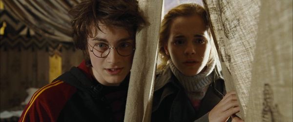 HBO Max mag deze verhaallijn niet vergeten in Harry Potter