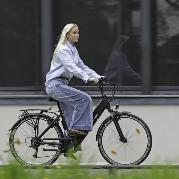 Elektrische fiets Action