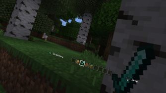 minecraft switch vr