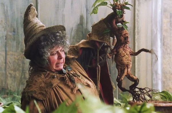 Harry Potter, Professor Sprout