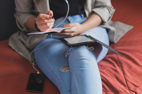 BREIN jaagt niet alleen op illegale IPTV maar ook op e-bookverkopers