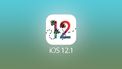 iOS 12.1 bug