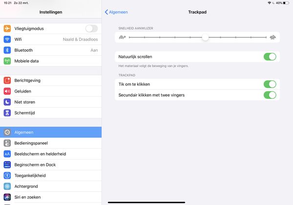 screenshot instellingen trackpad of muis iPad