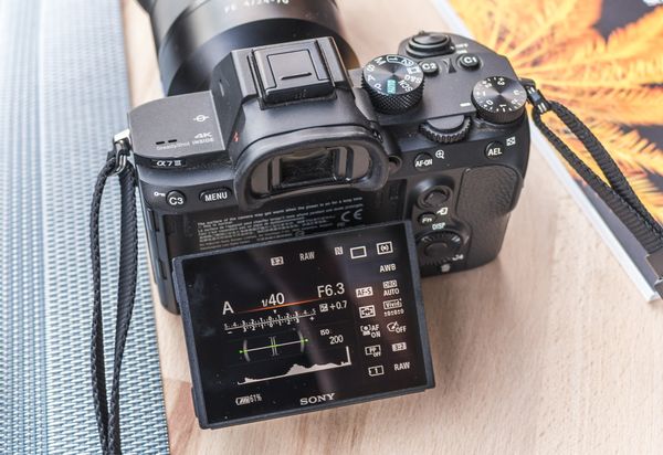 Sony A7 Mark III review display