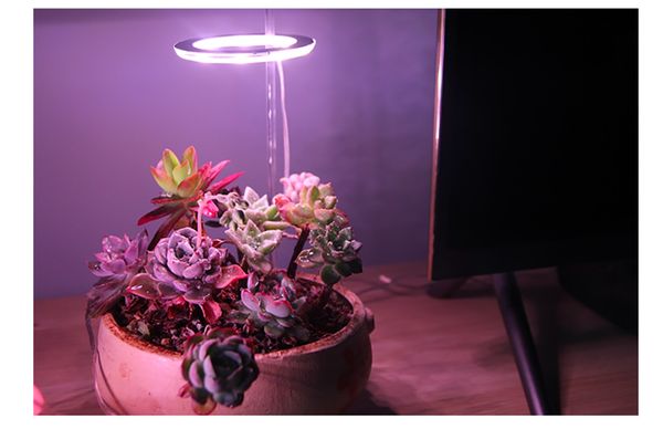 plantenlamp AliExpress