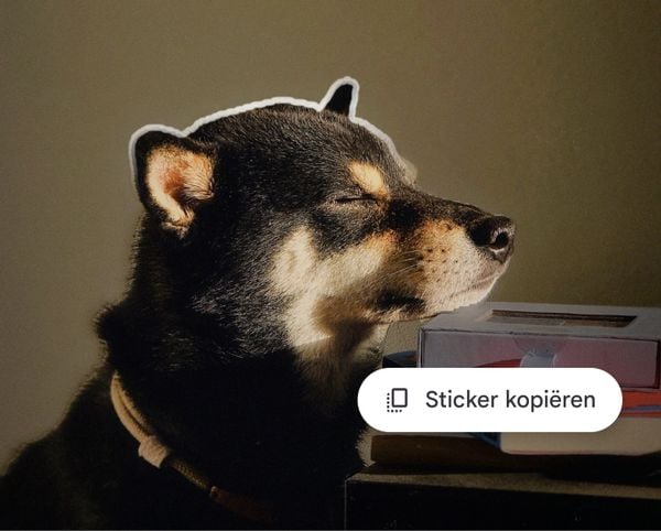 Google heeft eindelijk een nieuwe functie uitgerold voor de Photos-app waarbij het maken van stickers makkelijker dan ooit is.