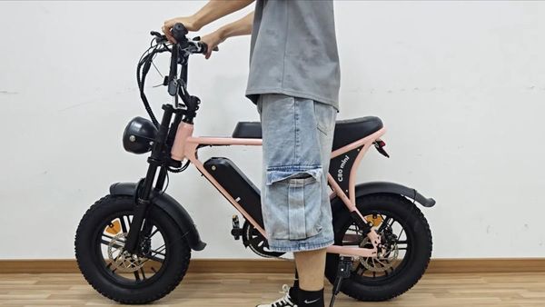 Komt de kinder fatbike naar Nederland?