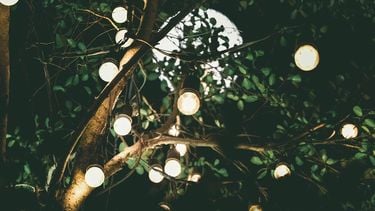 Verlichting van je tuin kost je niets op deze manier