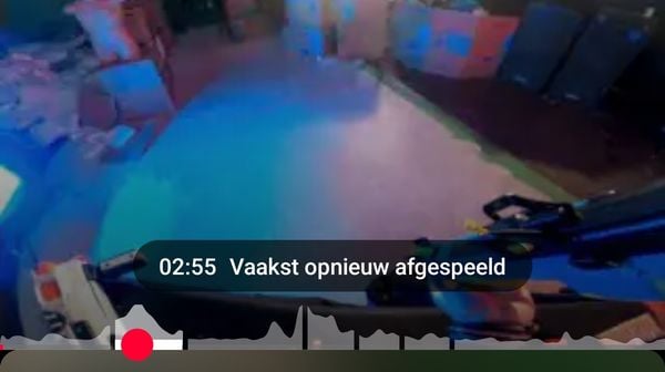 Van alle abonnementen ben ik het meest blij met YouTube Premium. De verdwenen advertenties zijn fijn, maar er is een niet zo veelbesproken functie die net zo goed is.
