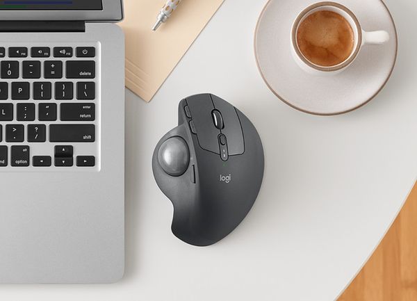 Trackball-muis: thuiswerken zonder problemen dankzij deze gadget