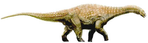Dinosaur, Diamondosaurus
