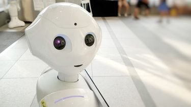 Dit Google AI-certificaat is ideaal voor je cv en helemaal gratis