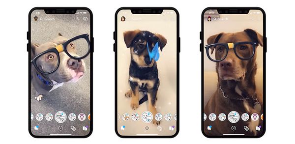 Snapchat honden filters