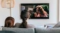 Lidl stunt nog steeds met 4K-smart tv voor minder dan 300 euro
