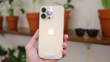 iPhone 14 Pro Max voor plantenpotten