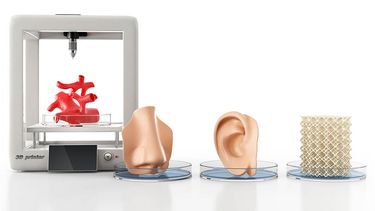 Organen 3D-print
