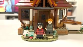 LEGO Harry Potter Volwassene