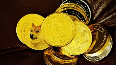 Bitcoin, Dogecoin (DOGE), Kabosu, Shiba Inu