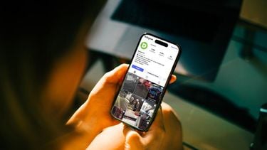 Dumpert haalt opvallende digitale mijlpaal en is grootste van Nederland