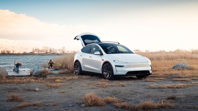 Door de nieuwe rol van Elon Musk in de Verenigde Staten staat mogelijk de populariteit van Tesla onder druk. Dat was in januari nog niet te zien in ons land.