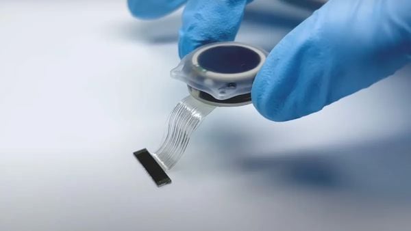 Elon Musks Neuralink