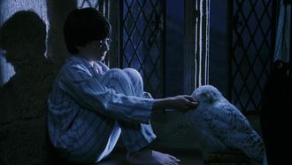 De nieuwe Harry Potter-serie kan deze dood beter doen dan de films en boeken
