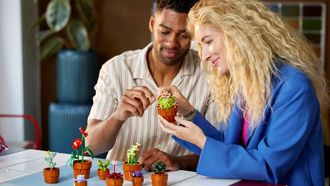 Het bouwen van een Lego-set is een leuke ervaring, maar is samen nog leuker. Deze sets zijn perfect om samen te bouwen.