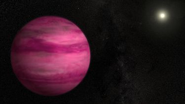 Roze planeet
