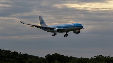 KLM vliegtuig Google Flights