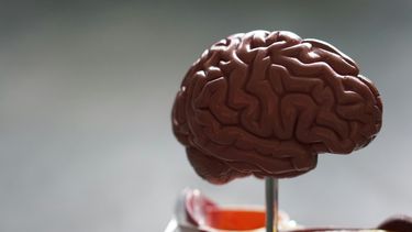 Neuralink gaat het hersenimplantaat dat het maakte testen in combinatie met een robotarm.