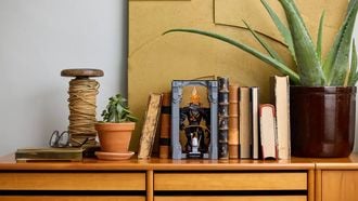 Lego komt de laatste tijd met super gave sets van Lord of the Rings. Deze set is helemaal mooi voor fans van de boeken.