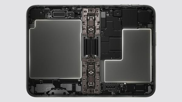 iPhone Duo batterij