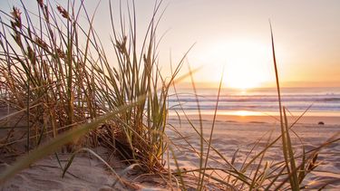 zomer strand warmte