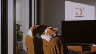 Deze verborgen smart-tv functies maken je leven makkelijker