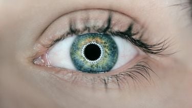 Intrigerend bionisch oog kan mensen de realiteit laten veranderen