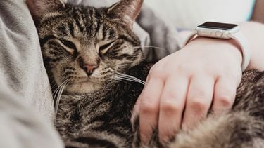 Apple heeft voor miljoenen geschikt in een zaak rond problemen met de Apple Watch Series 1, 2, 3 en 4. Helaas vissen we in Nederland waarschijnlijk achter het net.