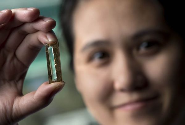 Batterij gouden nanodraden