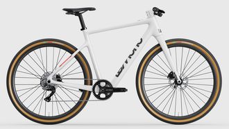LeMond Prolog elektrische fiets