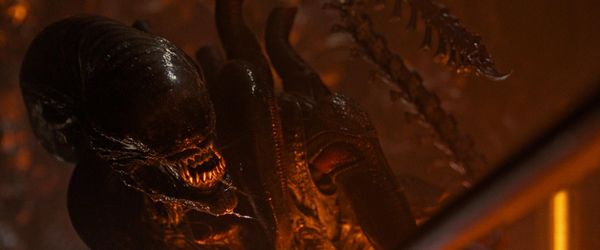 Hoe Alien na jaren floppen weer een horrorklassieker werd